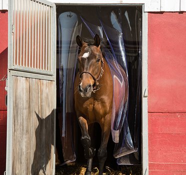 SPÄH Equimore PVC curtain