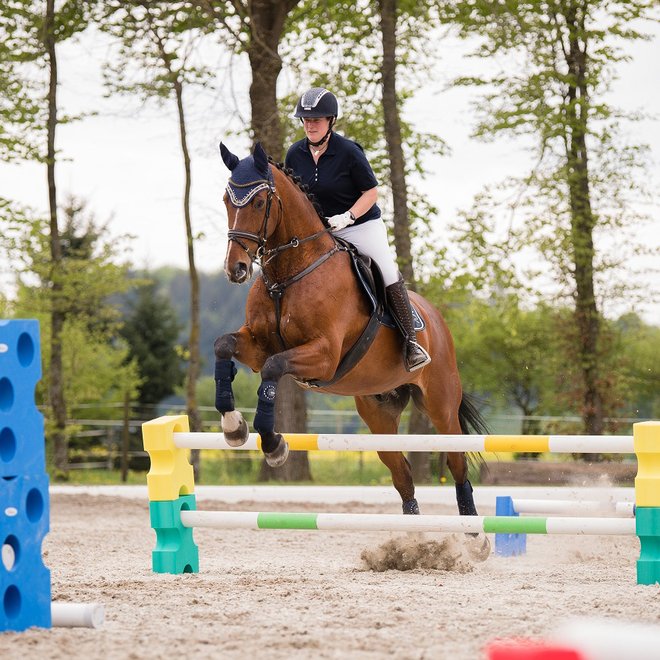 SPÄH Equimore SPÄH Equimore