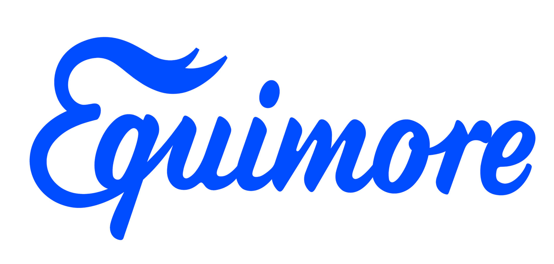Das Bild zeigt das blaue Logo von der Unternehmenssparte Equimore, bestehend aus einem geschwungenen, handschriftlichen Schriftzug mit einer stilisierten Pferdemähne über dem Anfangsbuchstaben.