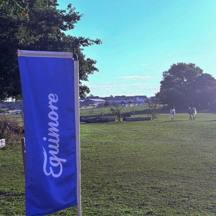 Pferdekoppel mit einer Beachflag von Equimore