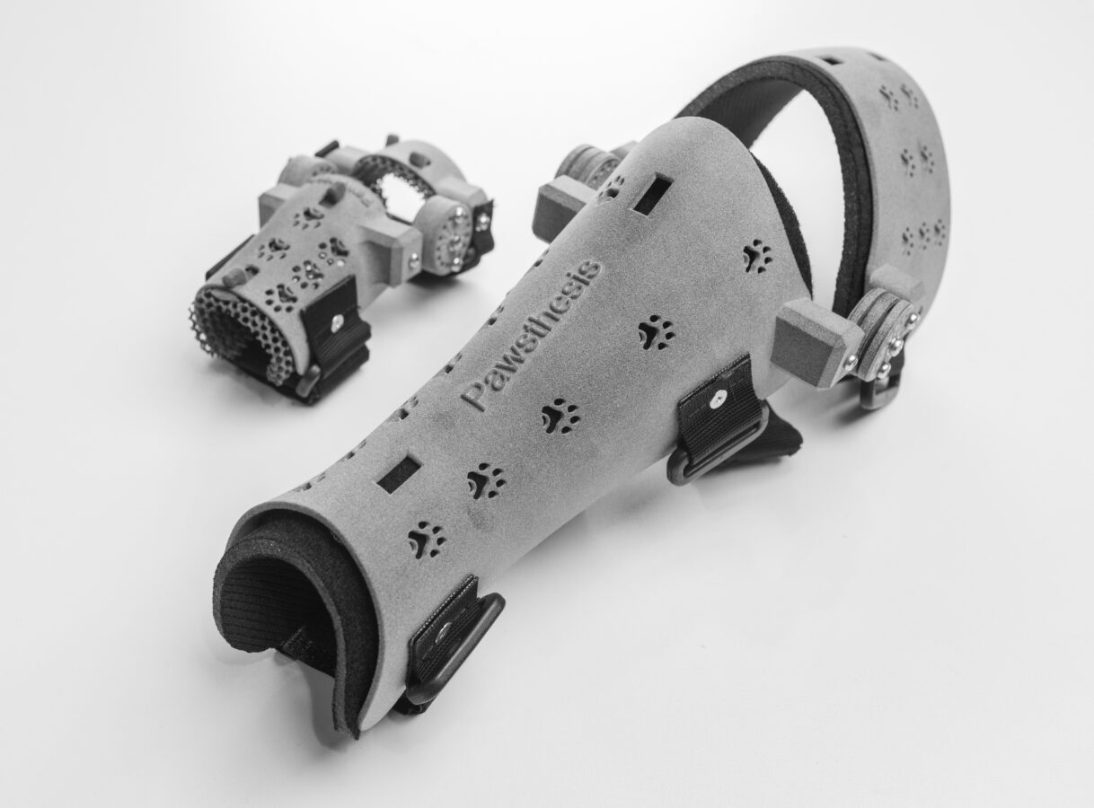 Tierorthese aus dem 3D Druck. Artikel stammt aus der Kollaboration von Späh und Pawsthesis