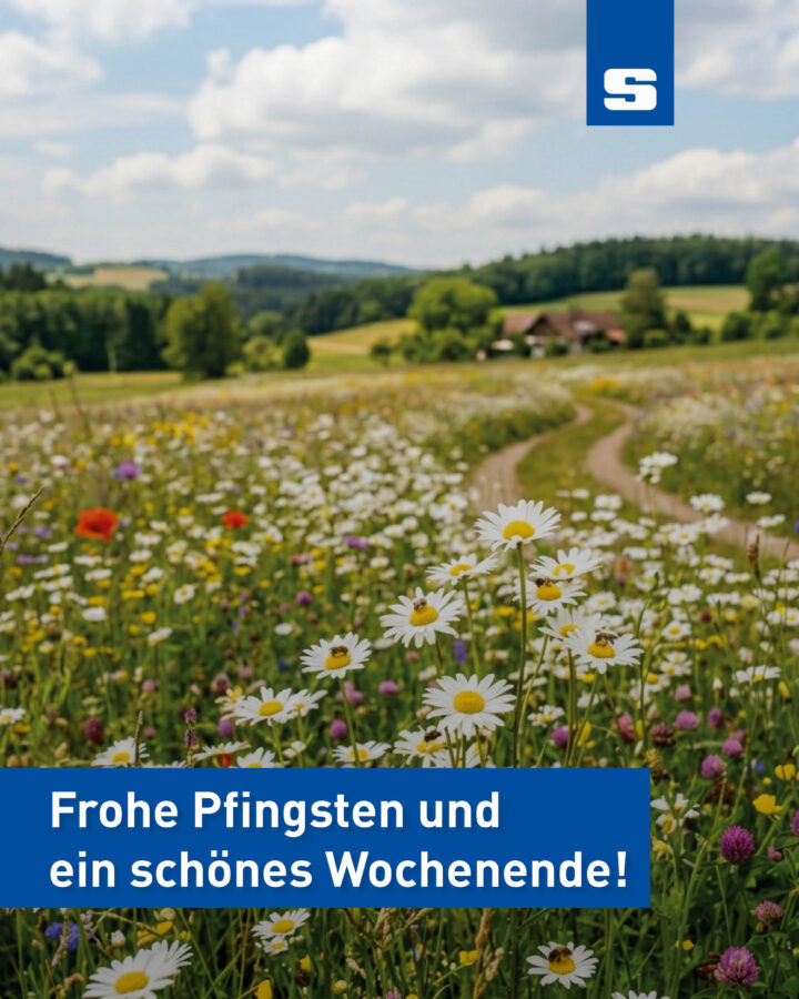 Blumenwiese